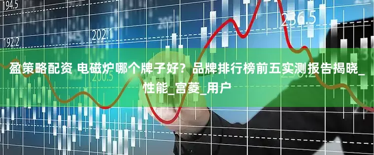 盈策略配资 电磁炉哪个牌子好？品牌排行榜前五实测报告揭晓_性能_宫菱_用户