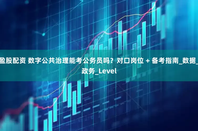 盈股配资 数字公共治理能考公务员吗？对口岗位 + 备考指南_数据_政务_Level