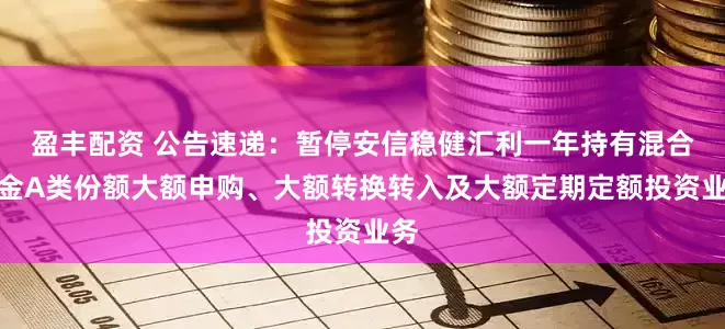 盈丰配资 公告速递：暂停安信稳健汇利一年持有混合基金A类份额大额申购、大额转换转入及大额定期定额投资业务